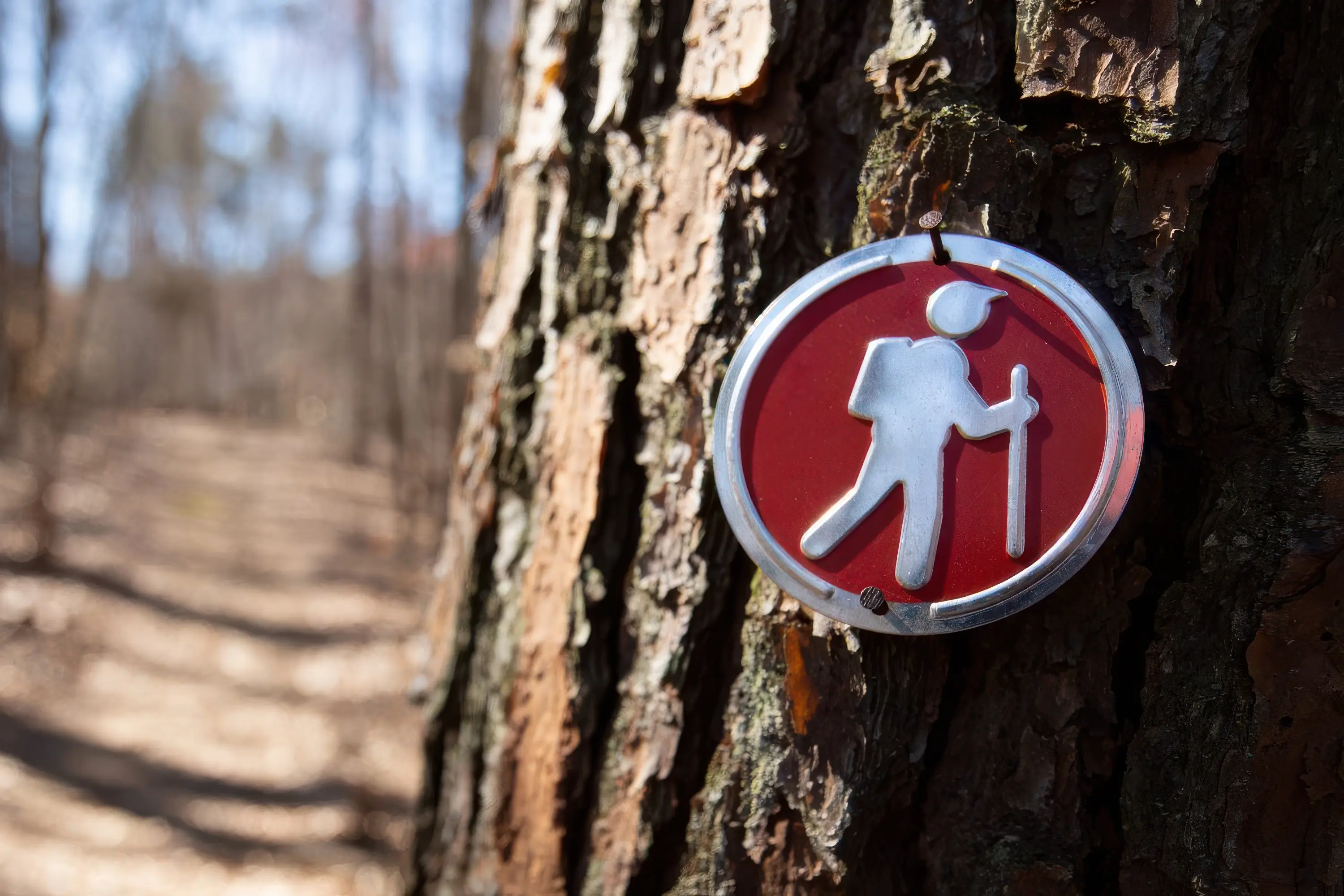 3 Essential Trail Building Techniques