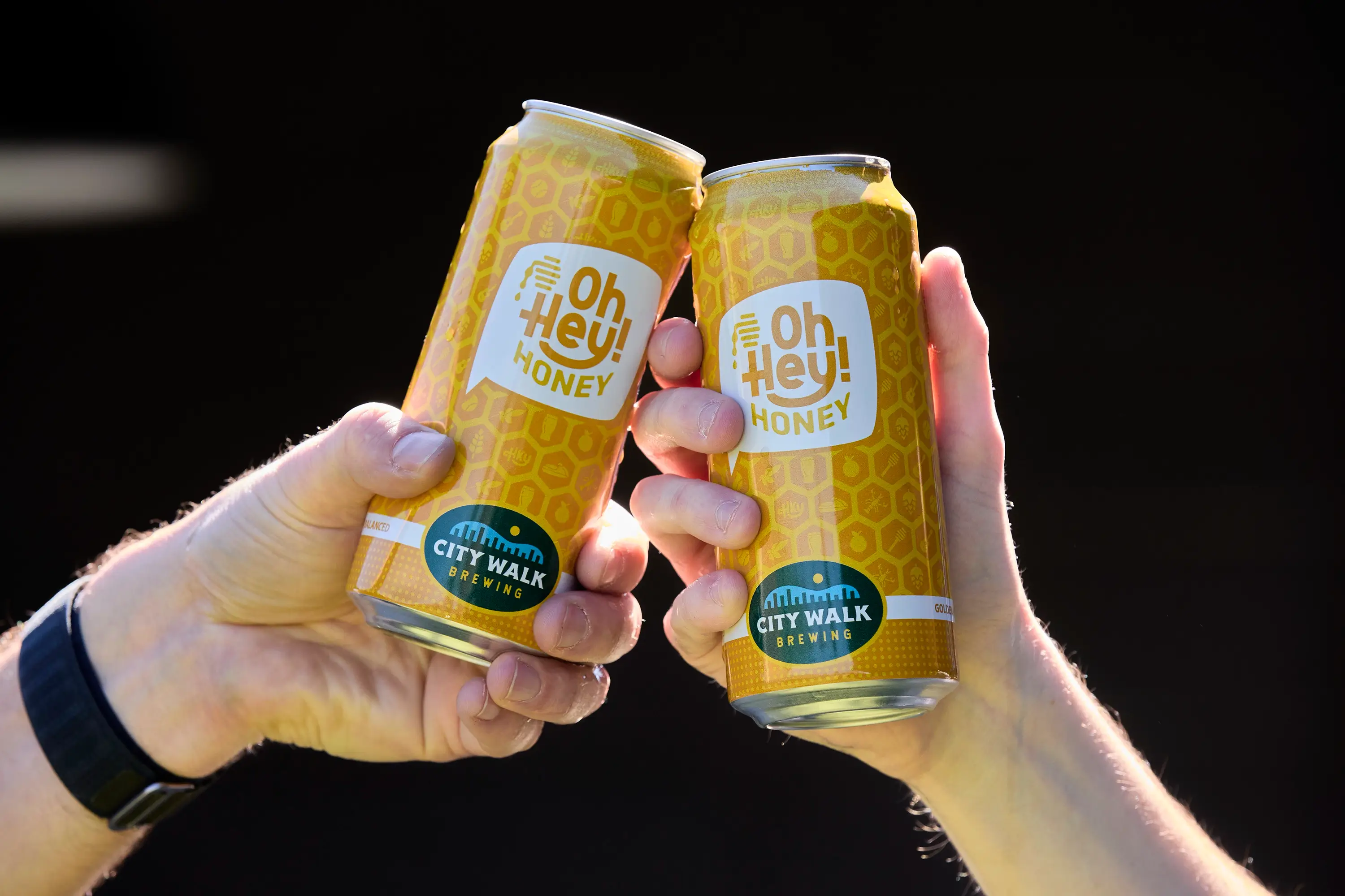 Two hands knocking beer cans together