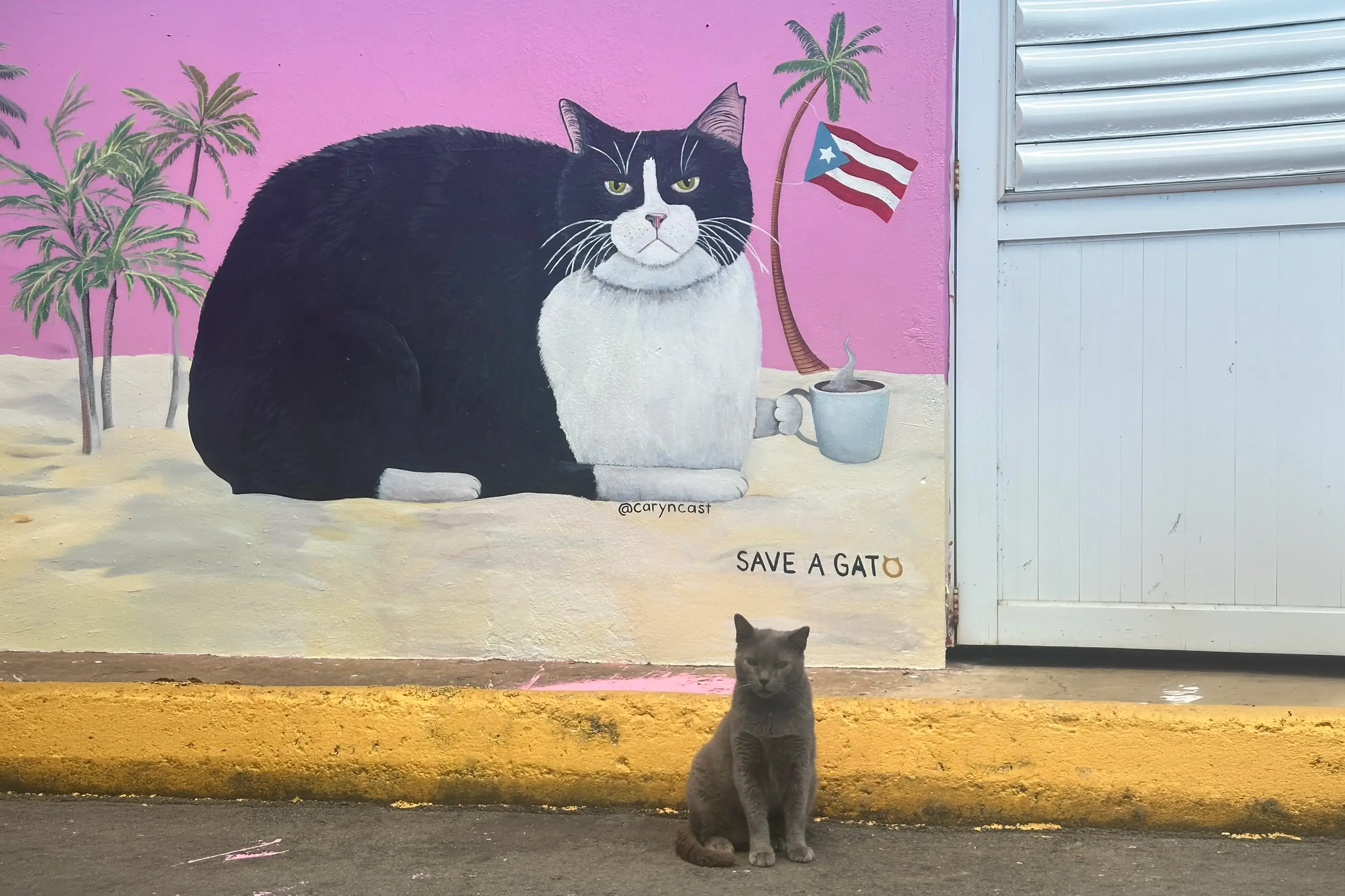 A cat sitting in front of a mural of a cat with palm trees