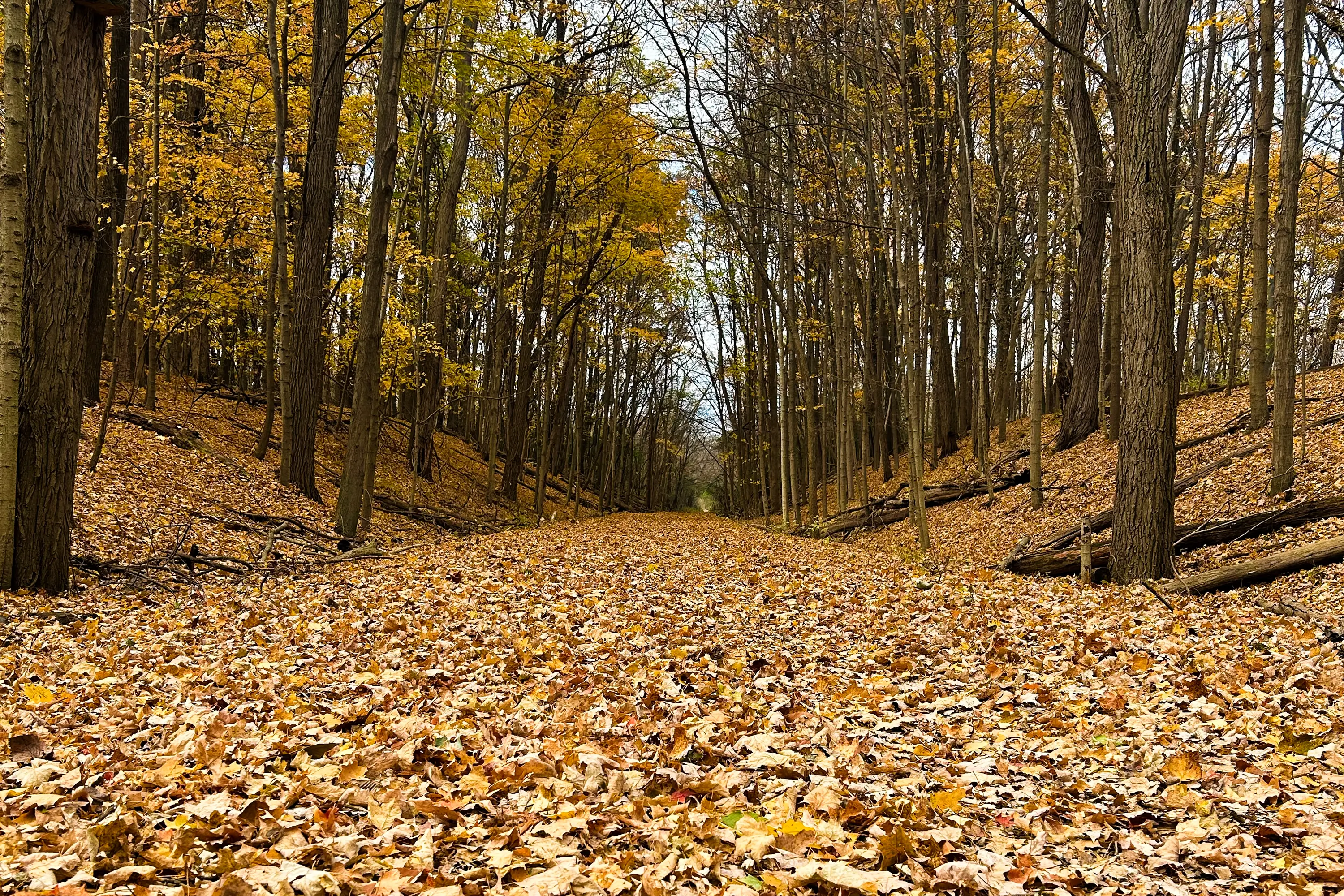 Protected: Northville Parks & Recreation