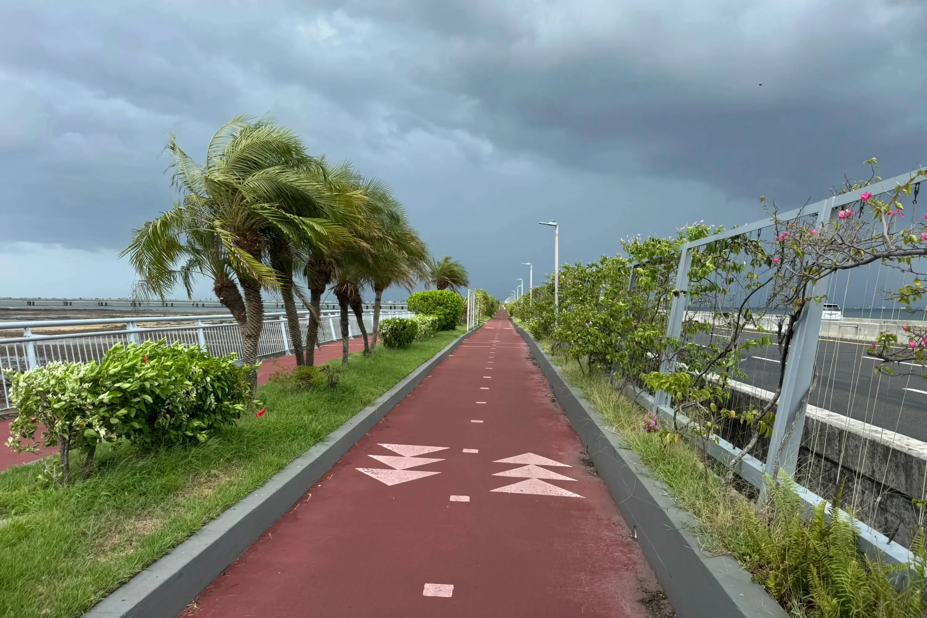 A walking track indicating walking direction