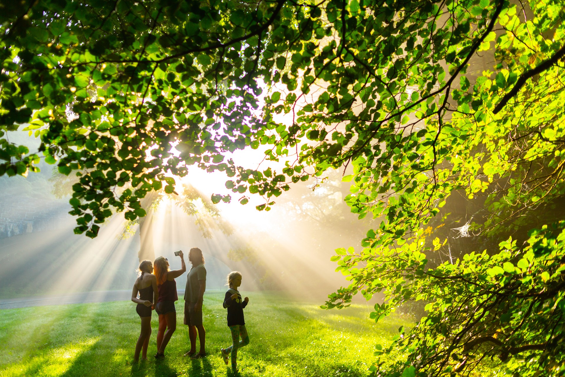 Family taking selfies in woods.