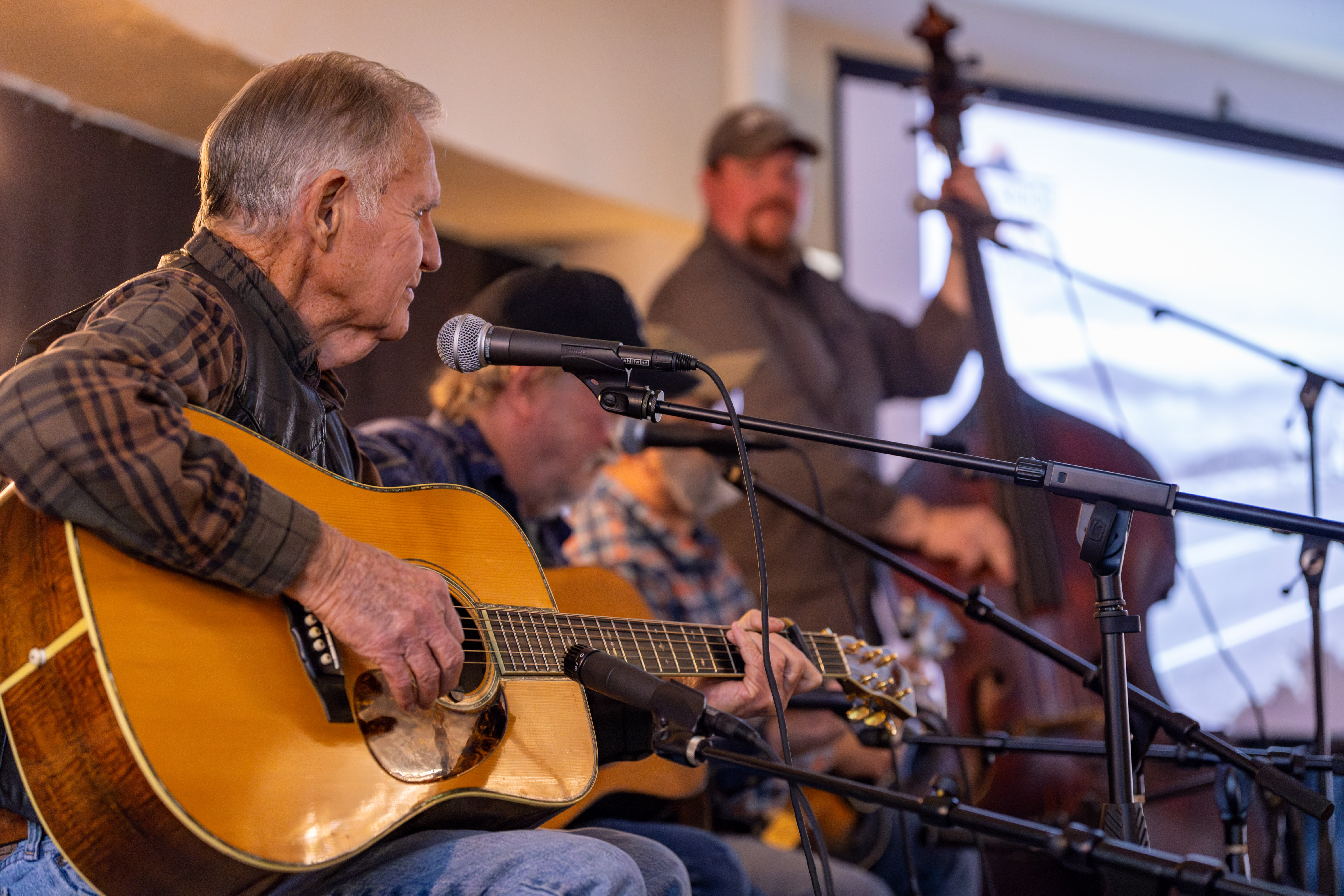 The Blue Ridge Rising Regional Plan Summit music.