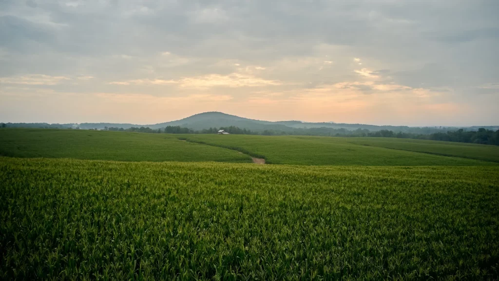 A landscape shot of a field with mountain ranges in the background